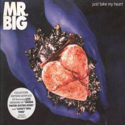 Mr. Big : Just Take My Heart